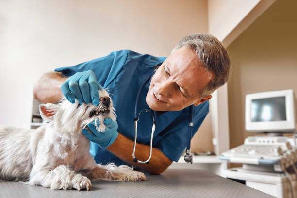 Best Emergency Tooth Extraction in Wanaque, NJ